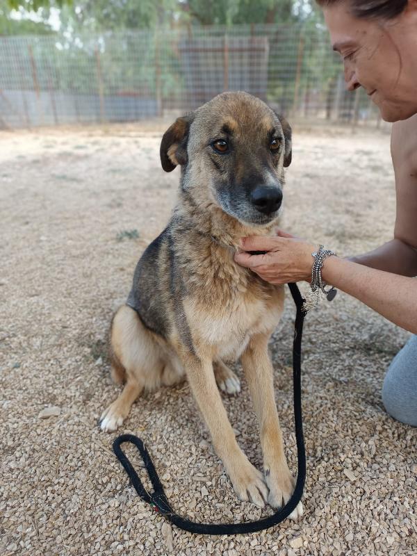 Pils 5 Anni Di Tenerezza Taglia Media